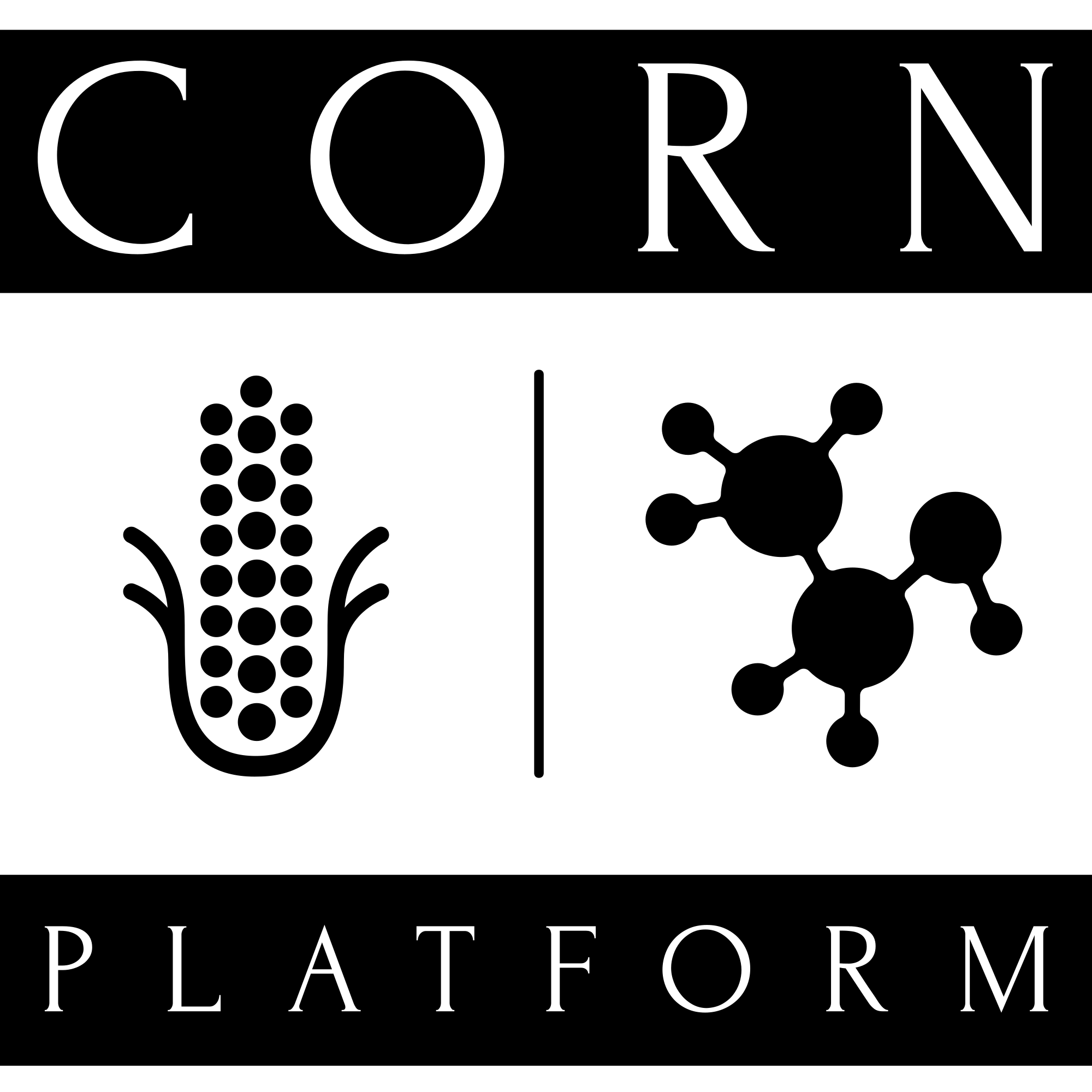 CORN PLATFORM® Polska